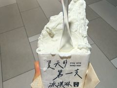 -野人先生现做冰淇淋(北京环宇荟店)