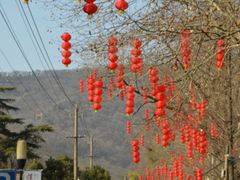 -南京老山国家森林公园