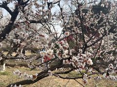 -白马涧龙池景区