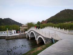 -芦芽山旅游度假区