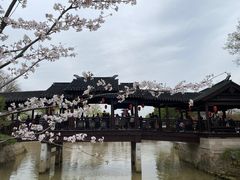 -枫桥景区