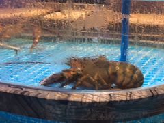 -百富源·海鲜辽菜(张士店)