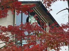-星巴克臻选(杭州良渚文化村店)