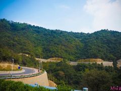 -火炉山森林公园
