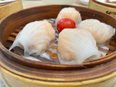 -益健美食大广场(北岭店)