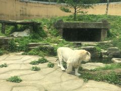 -宁波野生动物园