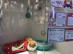 -龟与熊猫宠物公园(南坪店)