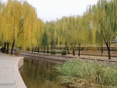 -元大都城垣遗址公园