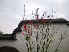 -乌山风景区