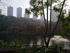 -重庆彩云湖湿地公园