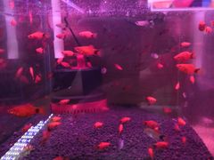 -鸿通城购物中心