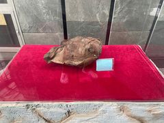 -房山世界地质公园博物馆