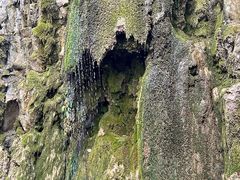 -四门塔风景区