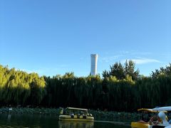 -团结湖公园