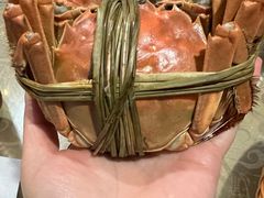 大闸蟹-渔娘蟹庄(阳澄湖莲花岛店)