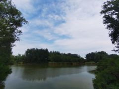 -翠湖国家城市湿地公园