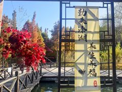 -溱湖国家湿地公园