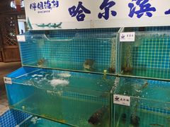 -胖姐渔村(中源大道店)