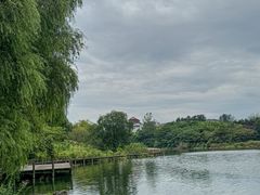 -江淮名灶生态农庄