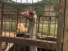 -山西乌金山旅游区