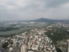 -紫峰大厦