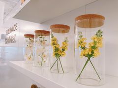 -伯衡55·吉品轩(乌鲁木齐南路店)