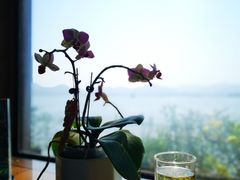 -湖畔居茶楼(湖滨店)