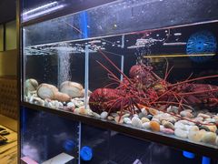 -家贺屋刺身寿司专门店