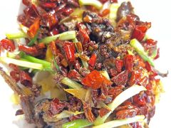 -海岛八号龙虾烧烤田鸡(蓝天路总店)