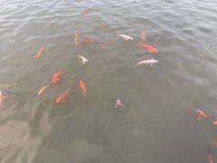 -春晖园度假酒店温泉