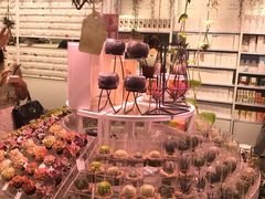 -KKV(深圳kk one 店)