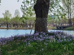 -东郊湿地公园