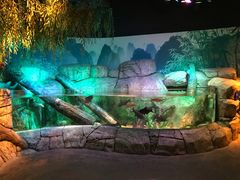 -沈阳海洋探索中心