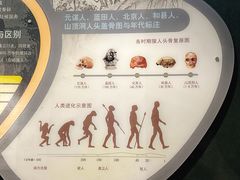 -马鞍山市博物馆