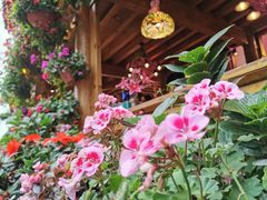 -民食香·腊排骨野生菌美食(木府店)