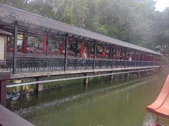 -侨美·唐荔园·40年地道粤菜