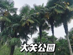 -大关公园