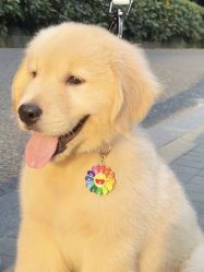 -Oasis Beauty水磨坊科技美肤中心