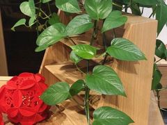 -金海马家居(海珠店)