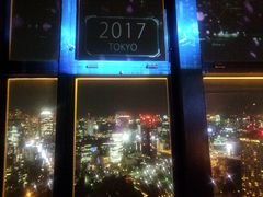 -东京塔海贼王主题公园
