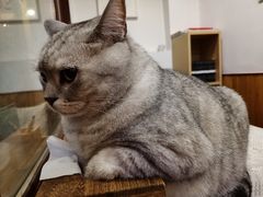 -隅cafe(傅厚岗店)