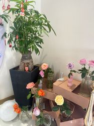 -名媛颜蕙·LPG官方旗舰店