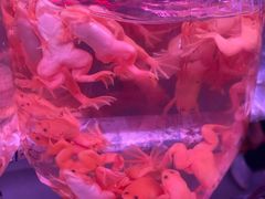 -华声天桥民俗文化园