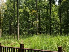 -黄海国家森林公园