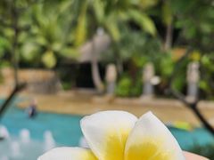 -海南清水湾莱佛士酒店