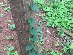 -南京金牛湖风景区