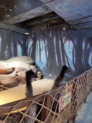 -酷嗒动物文化乐园(cutezoo西溪乐天城店)