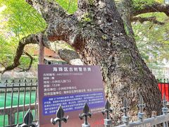 -小洲村