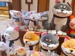 -大江户·温泉洗浴(浑南店)