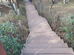 -鹦鹉寺公园